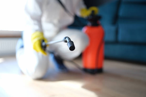 Best Real Estate Mold Inspection  in Mount Pleasant, NC