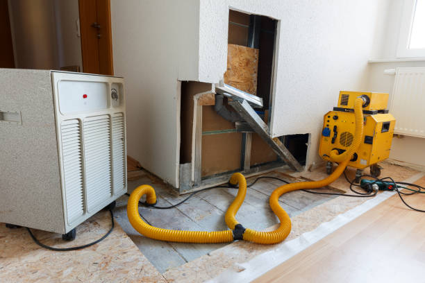 Best Residential Mold Inspection & Testing  in Mount Pleasant, NC